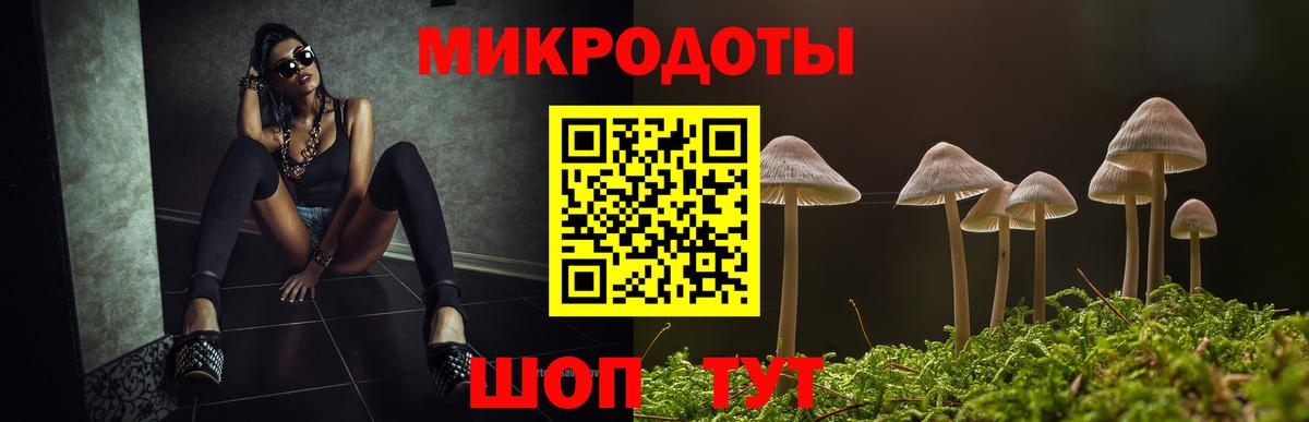 Псилоцибиновые грибы GOLDEN TEACHER Качканар